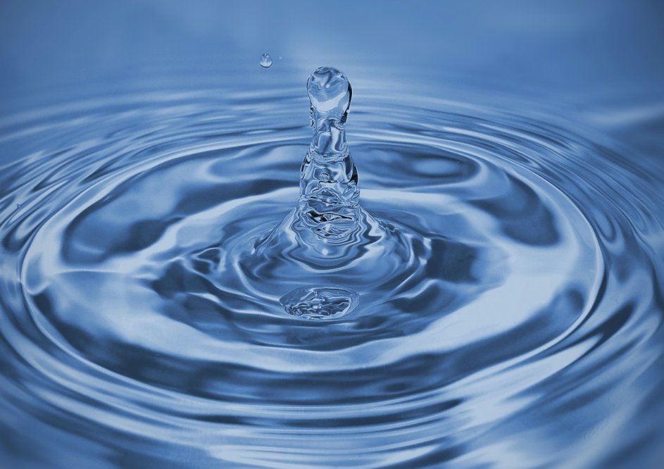 Partecipiamo al convegno “L'acqua, una risorsa contesa. L'emergenza idrica del Garda”💧

Parleremo dell'impronta idrica dell’allevamento in un territorio che è 1° polo zootecnico del nostro Paese.

📅Sabato 6 maggio ore 14.30
Scopri di più👉lav.it/appuntamenti/c…