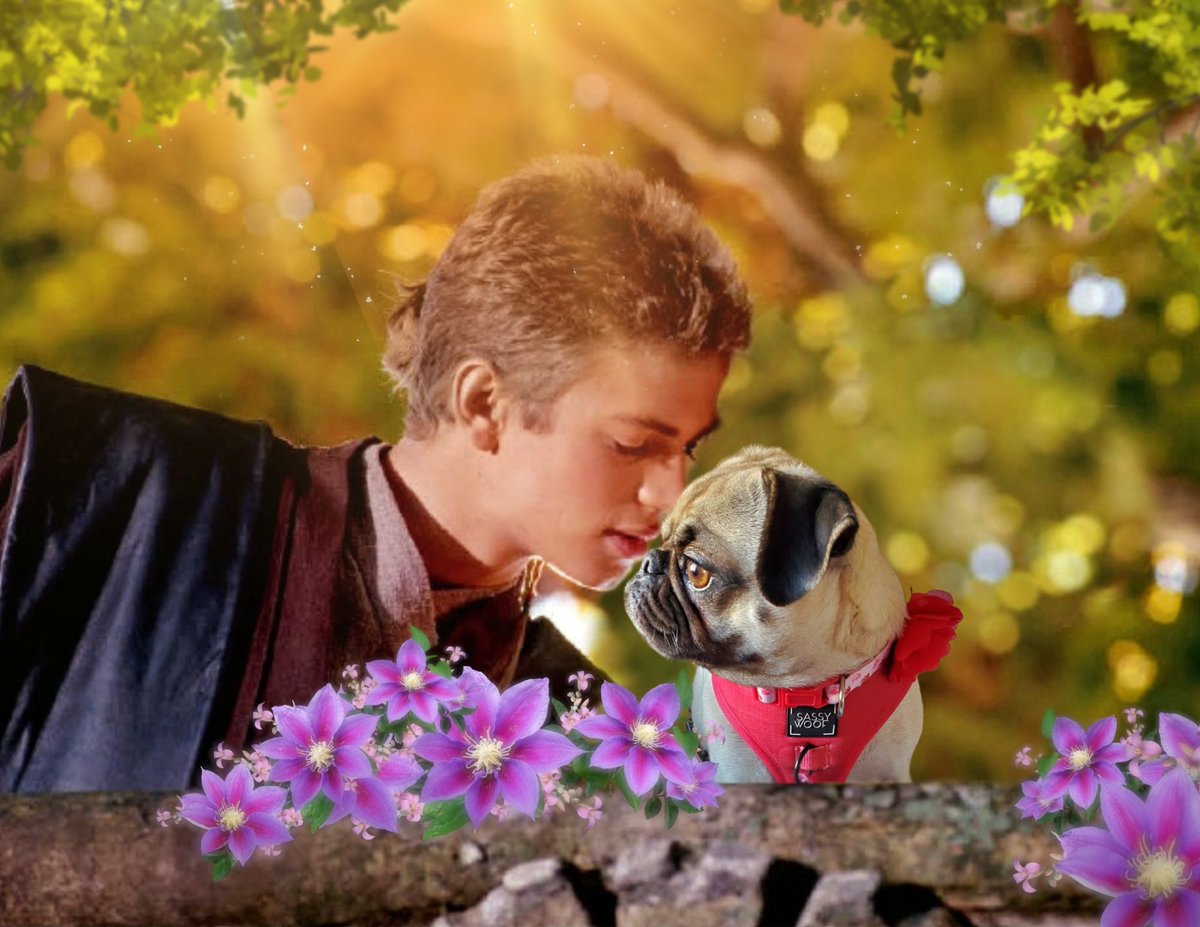 The_Pugess's tweet photo. 𝙇𝙤𝙫𝙚 𝙎𝙘𝙚𝙣𝙚 𝙤𝙣 𝙉𝙖𝙗𝙤𝙤♡
𝙰𝚗𝚊𝚔𝚒𝚗: 𝚈𝚘𝚞 𝚊𝚛𝚎 𝚜𝚘…𝚙𝚞𝚐𝚐𝚢.
𝙿𝚞𝚐𝚖𝚎́: 𝙸𝚝’𝚜 𝚘𝚗𝚕𝚢 𝚋𝚎𝚌𝚊𝚞𝚜𝚎
𝙸’𝚖 𝚜𝚘 𝚜𝚊𝚜𝚜𝚢.
𝙰𝚗𝚊𝚔𝚒𝚗: 𝙽𝚘. 𝙽𝚘, 𝚒𝚝’𝚜 𝚋𝚎𝚌𝚊𝚞𝚜𝚎
𝙸’𝚖 𝚜𝚘 𝚒𝚗 𝚕𝚘𝚟𝚎 𝚠𝚒𝚝𝚑 𝚢𝚘𝚞.
#MayThe4thBeWithYou #geminipug #pug https://t.co/Zp6oSQXRsb