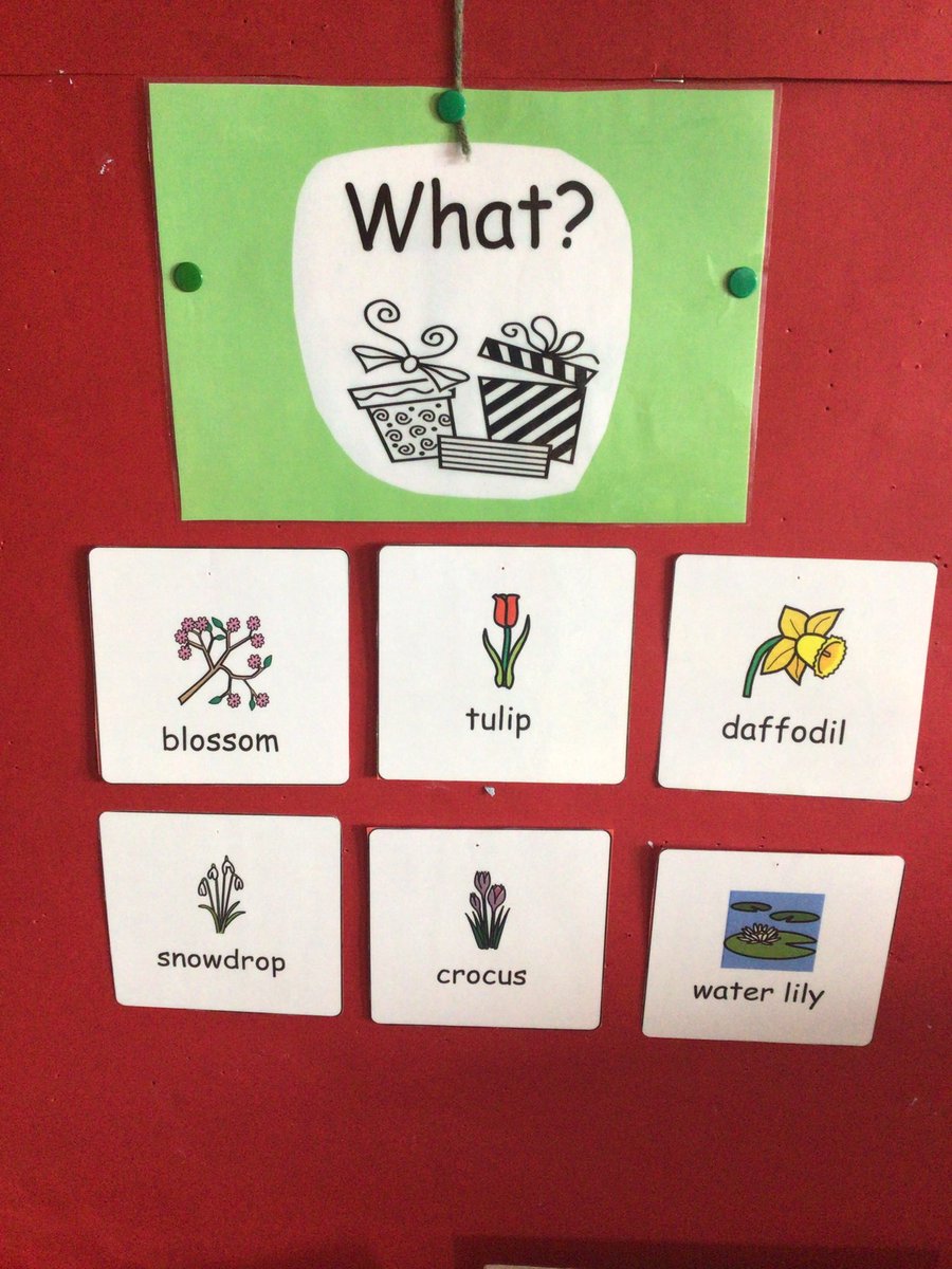 murrayfieldlc's tweet photo. P2-3’s word learning wall now has some new words to practise using 💐🗣 #learningnewwords #vocabulary https://t.co/UIlahC0muk