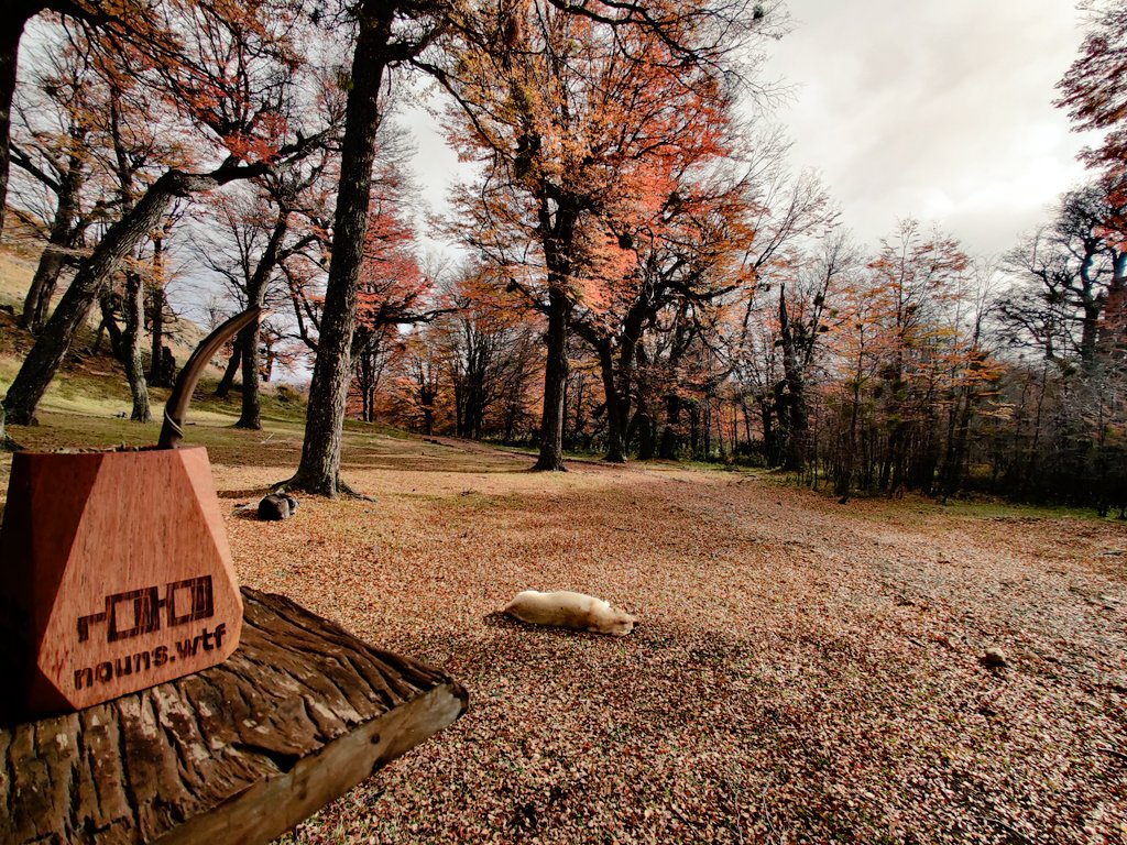 Tata Patagonia J24 tweet media