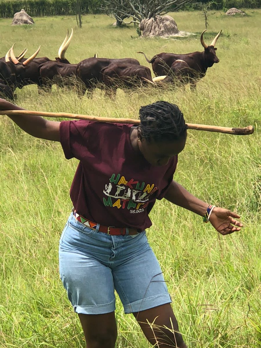 #LifeontheFarm with the #AnkoleCows famed for not only beauty/elegance but also for giving nutrient rich milk & high grade beef with almost no cholesterol.  

#ExploreUganda , @emburara #farm #tours
emburarafarmlodge.com