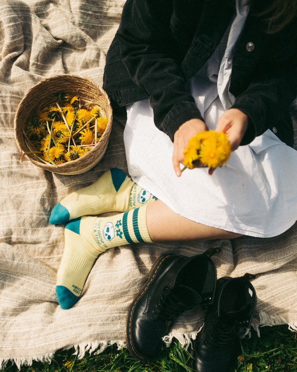 AmericanSocks's tweet image. Bloom and Shine 🌼 Livin' la Primavera!
Warm days call for shorter pants. It's time to show your #Sockgame. Don't miss the wave, +40 fresh looks just dropped on our site! 🌊🧦