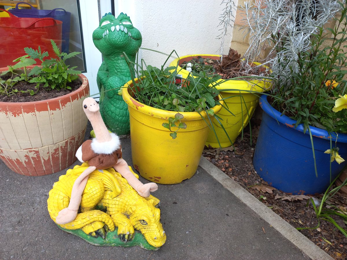 Thank you to the team at Medway Community Healthcare for hosting Ozzie today! Sadly we can't enrol dragons on the study or we'd have signed up these two. #OSTRICHonTour