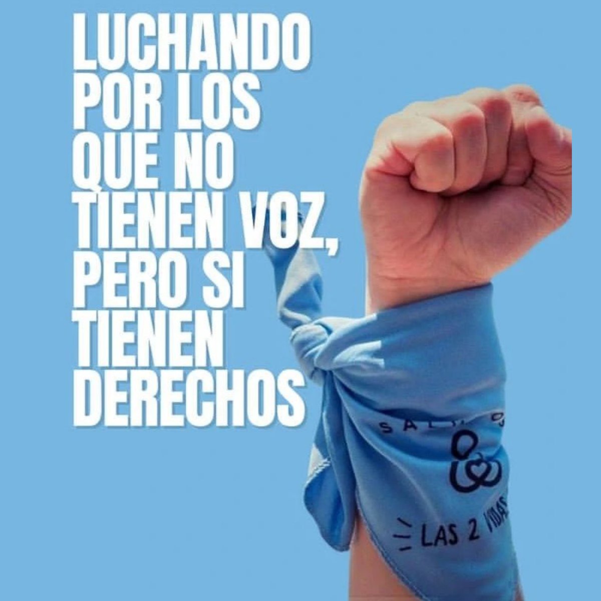 PalaveccinoLu's tweet photo. Es un honor para mi que me hayan sumado a los  equipos de defensores de la vida del Partido Celeste 💙 Único partido #provida del mundo q además apoya la candidatura a presidente de Milei 👏🏻 Mí sueño es ver la derogación de la ley del aborto y al León en la Rosada. https://t.co/eprUfO0erD