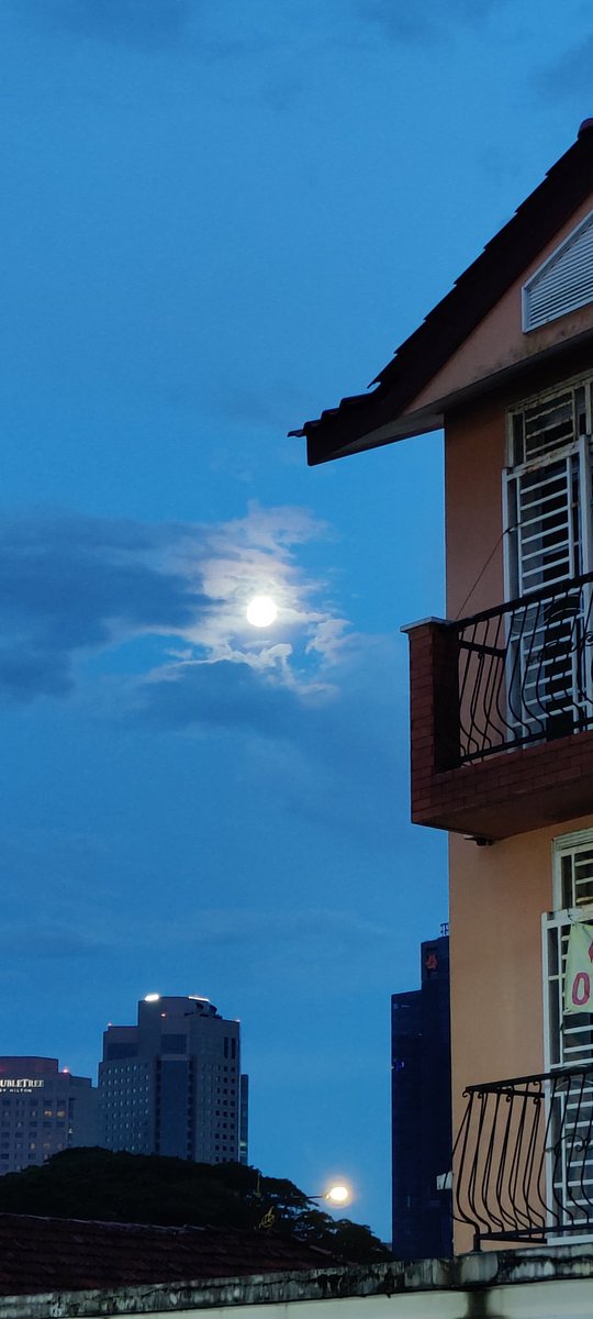 dodoexplorers's tweet image. Flower Moon 💮 It combines the energies of a Flower Moon and a Lunar Eclipse. May’s full moon is referred to as Flower Moon because of the abundant blooms in spring. Did you see it yet?

#singapore #malaysia #FlowerMoon