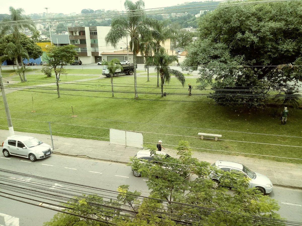 prefeiturajf's tweet photo. 🌱 Poda e capina
📍 Cemitério municipal
📍 Praça da República
#ProgramaBoniteza https://t.co/gDYGtDTKMT