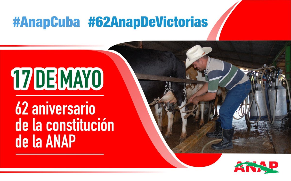 CabreraYonelsi's tweet photo. #AnapSanctiSpíritus. Los campesinos espirituanos celebramos el #17DeMayo con el compromiso de elevar y seguir produciendo para el pueblo. #AnapSanctiSpíritus #AnapCuba #SanctiSpíritusEnMarcha #EmpeñadosEnSeguirGanando @Eidy97661881 @RafaelAnap @yoel_palmero @DeivyPrezMartn1 https://t.co/dE6M434chN