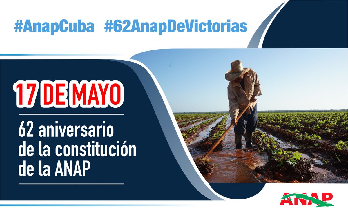 CabreraYonelsi's tweet photo. #AnapSanctiSpíritus. Los campesinos espirituanos celebramos el #17DeMayo con el compromiso de elevar y seguir produciendo para el pueblo. #AnapSanctiSpíritus #AnapCuba #SanctiSpíritusEnMarcha #EmpeñadosEnSeguirGanando @Eidy97661881 @RafaelAnap @yoel_palmero @DeivyPrezMartn1 https://t.co/dE6M434chN