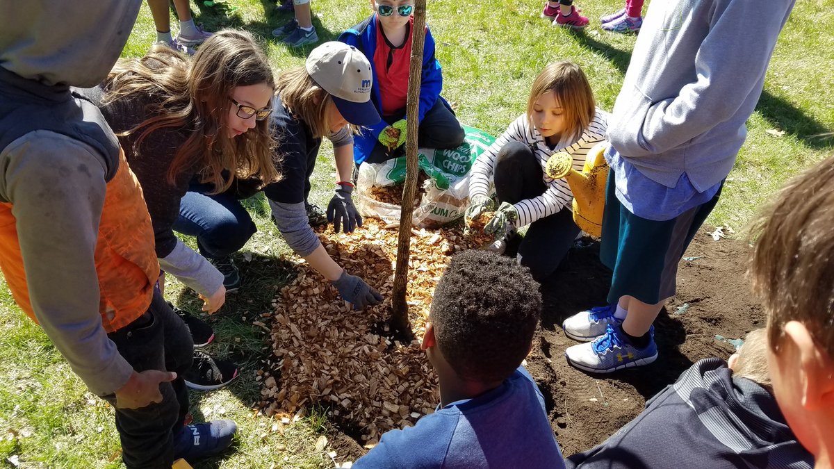 Minnesota Forestry tweet media