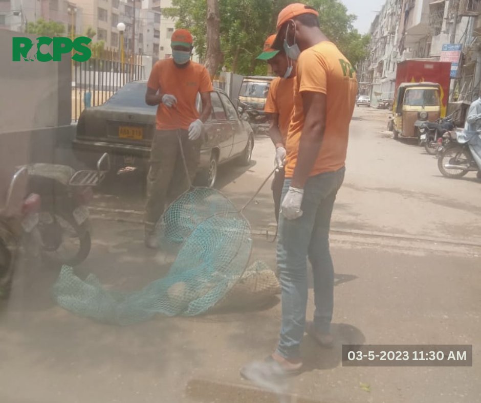 RCPSindh's tweet photo. Day 365~ โ
Catch โ
Vaccinate โ
Collar โ
Mark โ
Record
๐ Shabbirabad, District East, Karachi.
๐ Federal B Area Block-7, Nazimabad, District Central, Karachi.
๐ Jung Press and Railway colony, District South, Karachi.
#rabiescontrolprogramsindh #RCPS #ZeroBy30 #WHO https://t.co/PXRkx2znvp