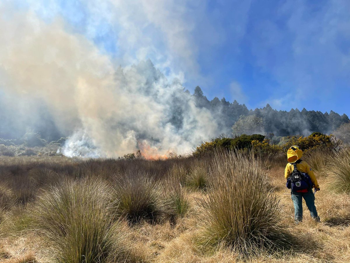 JorgeRescala's tweet photo. Hoy se conmemora el Día Internacional del Combatiente de Incendios Forestales en honor a nuestros valientes que luchan contra estos desastres naturales. Esta fecha se estableció en 1998, después de una tragedia en Linton, Australia, donde cinco combatientes perdieron la vida. https://t.co/ozFOrt4L3i