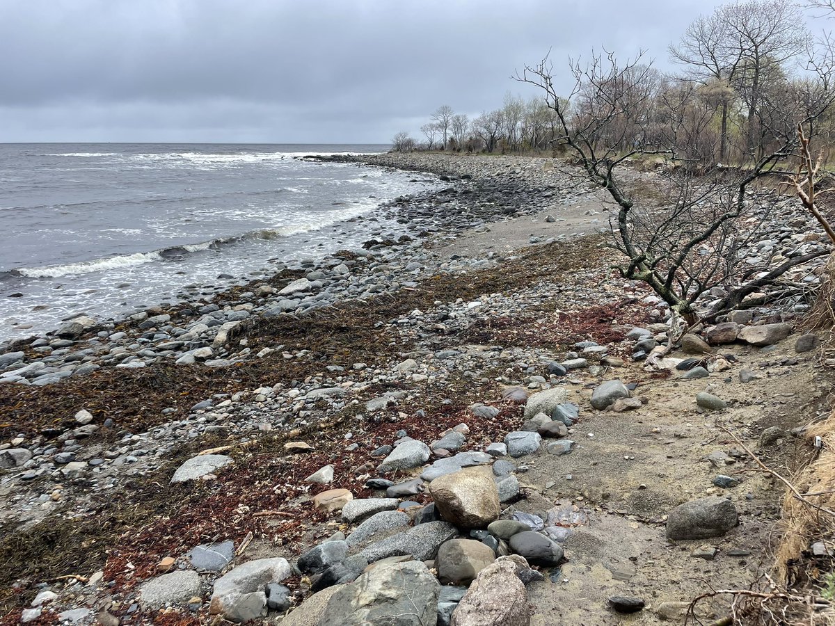 NU Marine & Enviro Sci tweet media