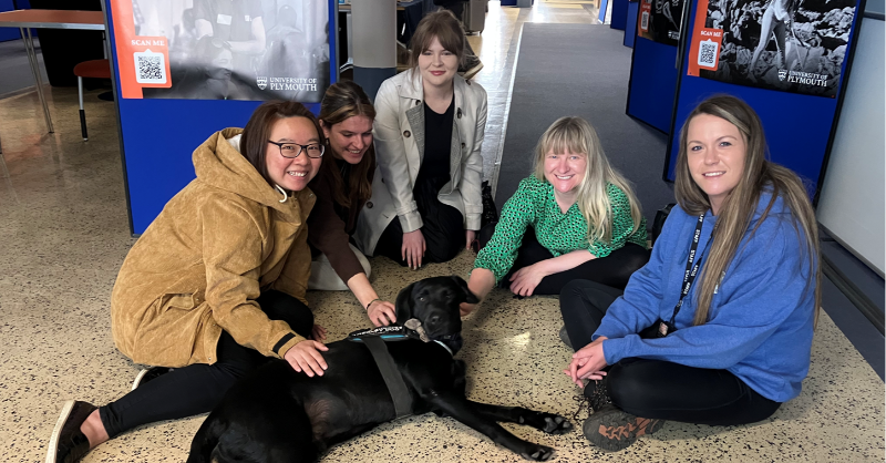 youpickUPIC's tweet photo. Challenge? Accepted!

Kirsten, Sara, Anita &amp; Chloe from UPIC attended this popular student event, which promotes:
 
✅ 121 coaching
✅ Exam support
✅ Wellbeing seminars

Arthur – a very handsome #therapydog from @BalesBuddies – was on the scene 🐾

@PlymUni #Navitas #YouPickUPIC https://t.co/4pfvIpcgIJ