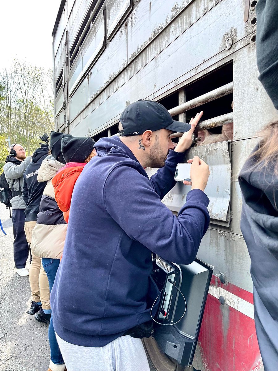 Mancpigsave's tweet photo. Thanks to everyone at the @Mancpigsave #vigil today where @JoeyCarbstrong played the footage of #pigs fighting for their lives in the #gaschamber at Pilgrims Pride #slaughterhouse that was published by @guardiannews this week.
This proves that #humaneslaughter is a myth
#vegan https://t.co/5tS9msC2KX