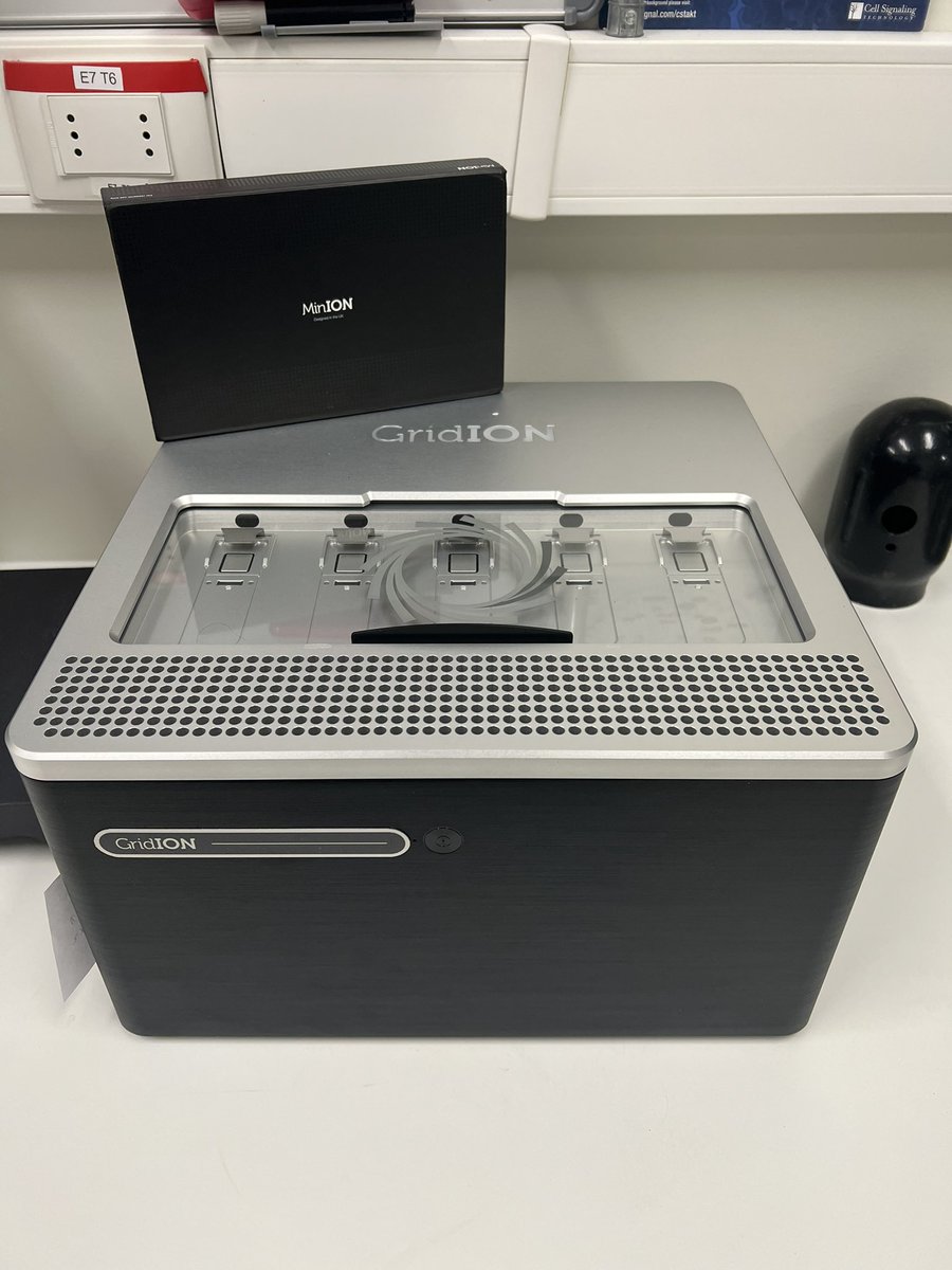 Alex Di Genova (@digenoma) on Twitter photo Our new toy has arrived🎉🎉 welcome <a href="/nanopore/">Oxford Nanopore</a> at <a href="/uohiggins/">Universidad de O'Higgins</a> #longreads🎉 <a href="/ici_uoh/">Instituto de Ciencias de la Ingeniería ICI-UOH</a> Our new toy has arrived🎉🎉 welcome <a href="/nanopore/">Oxford Nanopore</a> at <a href="/uohiggins/">Universidad de O'Higgins</a> #longreads🎉 <a href="/ici_uoh/">Instituto de Ciencias de la Ingeniería ICI-UOH</a>
