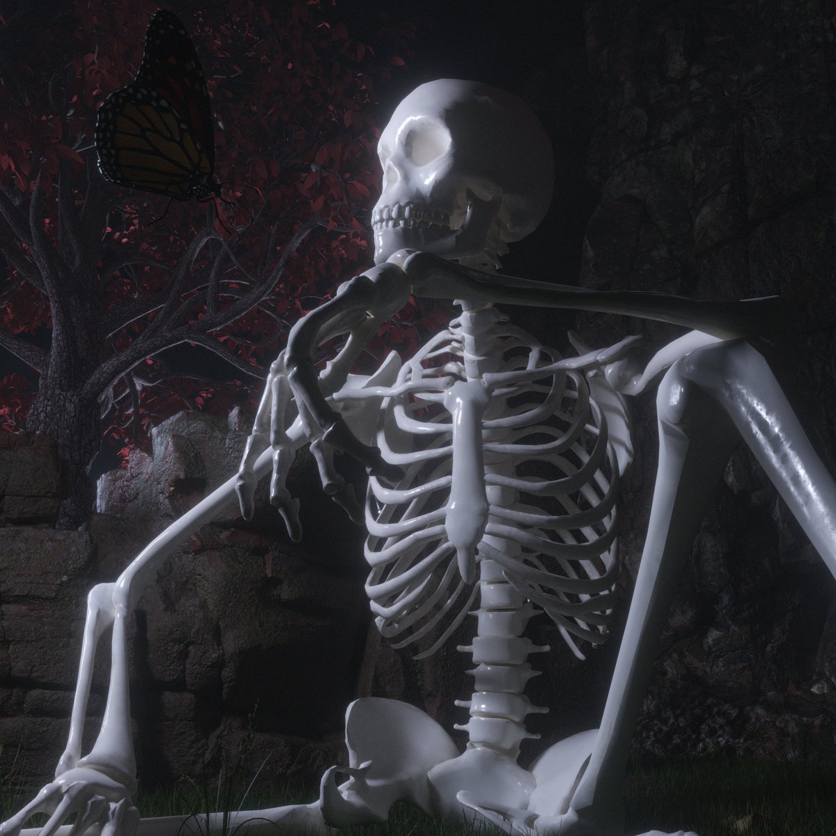 Advnture20's tweet photo. BUTTERFLY https://t.co/bo1MISRhEI