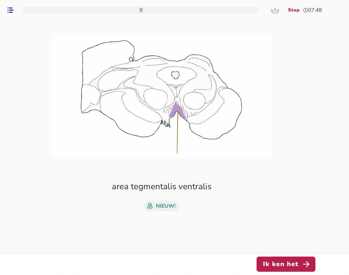 MemoryLab (@memorylabhq) on Twitter photo We are happy to announce that SlimStampen is involved in a <a href="/univgroningen/">University of Groningen</a> funded project to start developing a learning tool specially designed for learning neuroanatomy.
#SlimStampen #adaptivelearning #neuroanatomy We are happy to announce that SlimStampen is involved in a <a href="/univgroningen/">University of Groningen</a> funded project to start developing a learning tool specially designed for learning neuroanatomy.
#SlimStampen #adaptivelearning #neuroanatomy