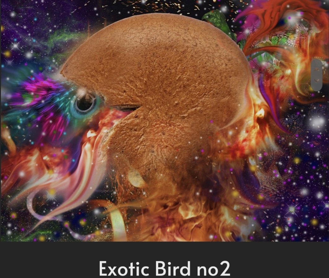 cookiebirdsnft's tweet photo. CookieBird_ #OpenSeaNFT #nft #nfts #art #space https://t.co/Z4gHNWBmsS