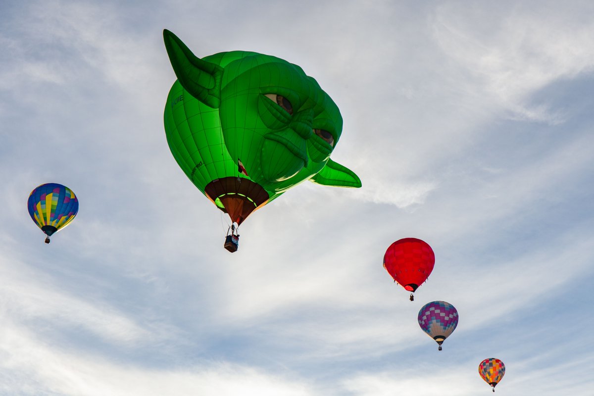 New Mexico TRUE tweet media