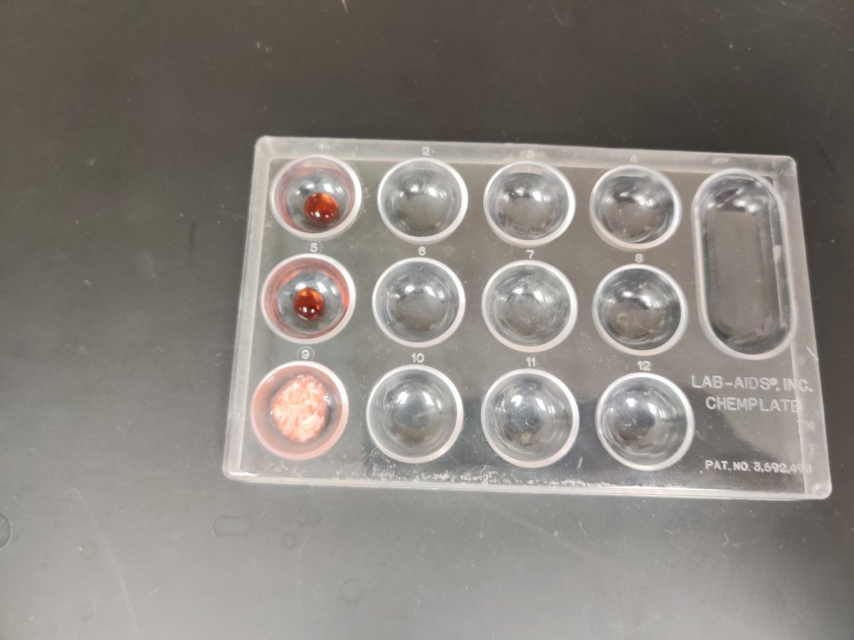 RPHS Science tweet media