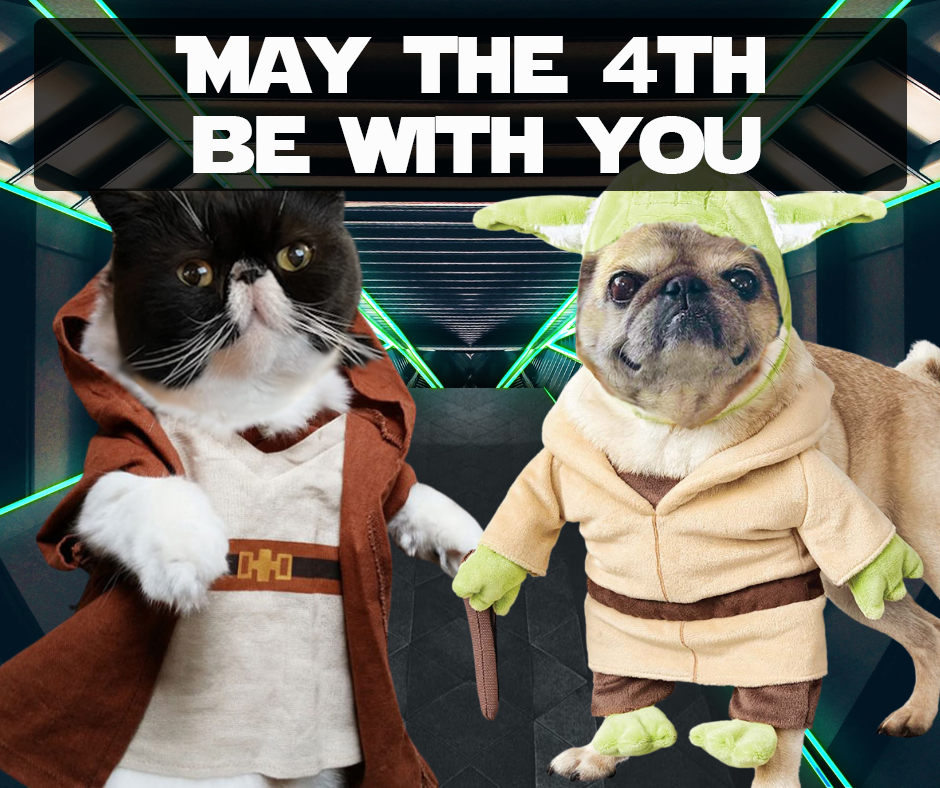 Preventive Vet tweet media