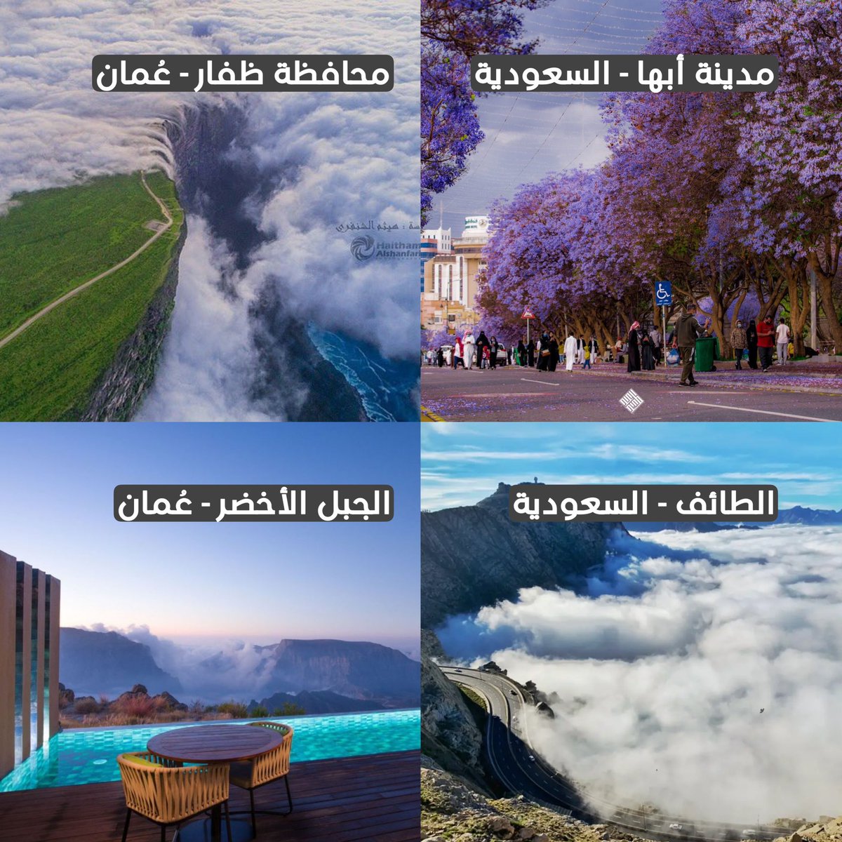 تـيـمــور الـعمـــــري tweet media