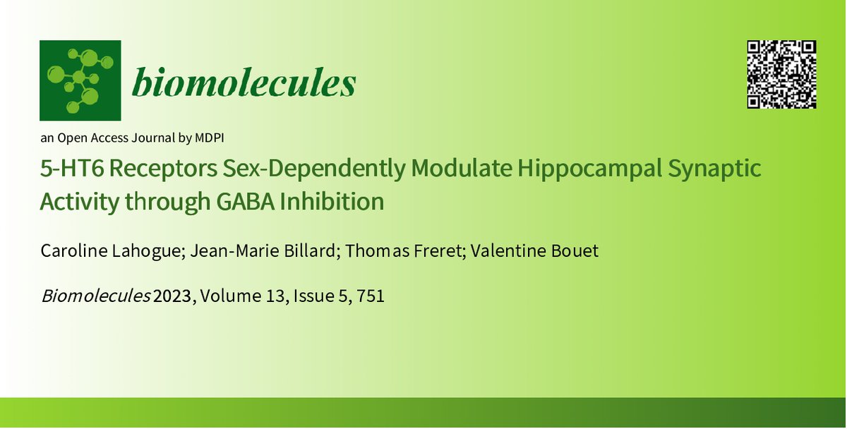 🆕🤗5-HT6 Receptors Sex-Dependently Modulate Hippocampal Synaptic Activity through GABA Inhibition mdpi.com/2266596 #mdpibiomolecules via @Biomol_MDPI