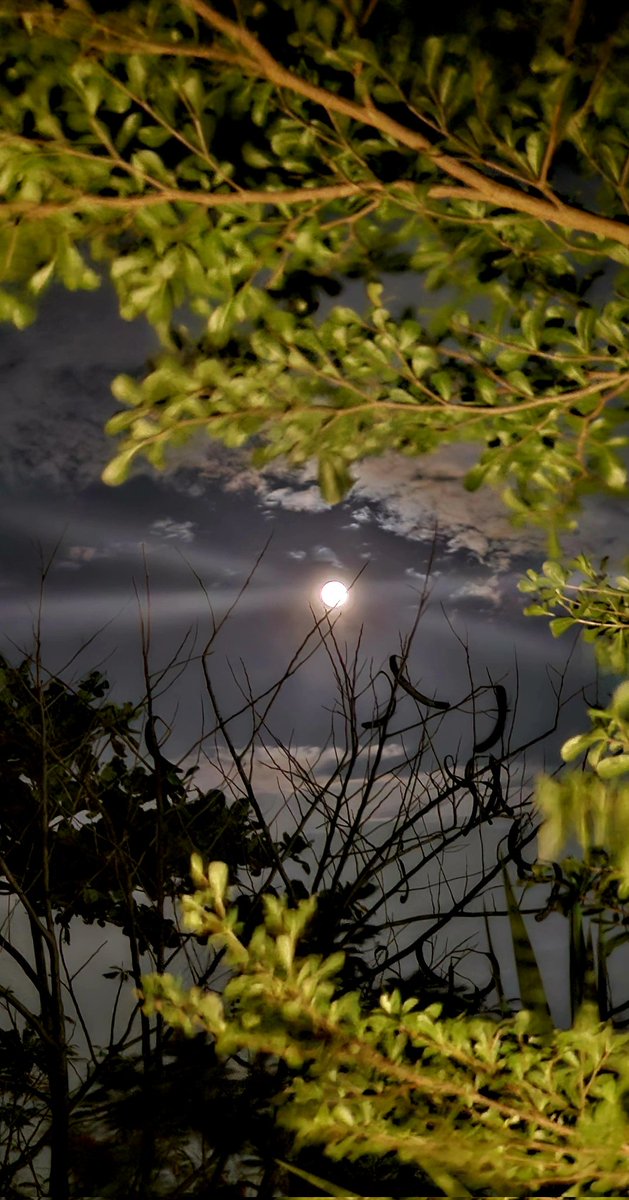 obsesso_cinema's tweet photo. #Moon
#RSClicks https://t.co/ydXAuiTUgY