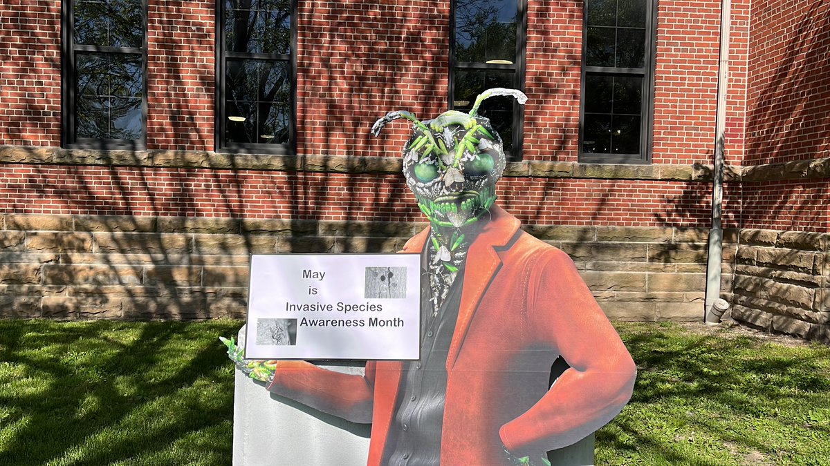 Tricia Bethke tweet media