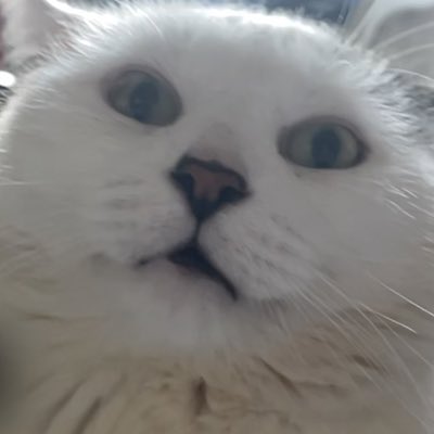 msknockersmcgee's tweet photo. #NewProfilePic https://t.co/IFcPg2whDH