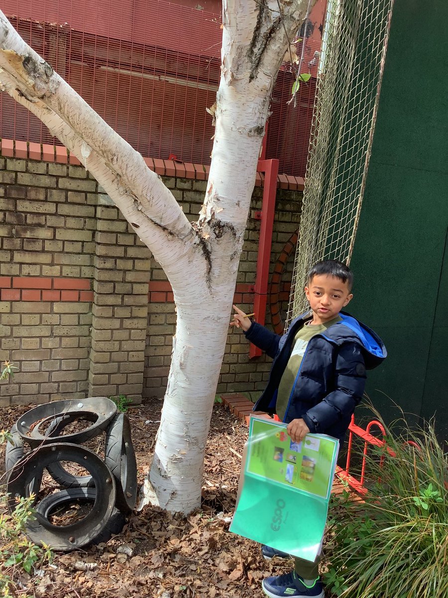 Halley Year 1 tweet media