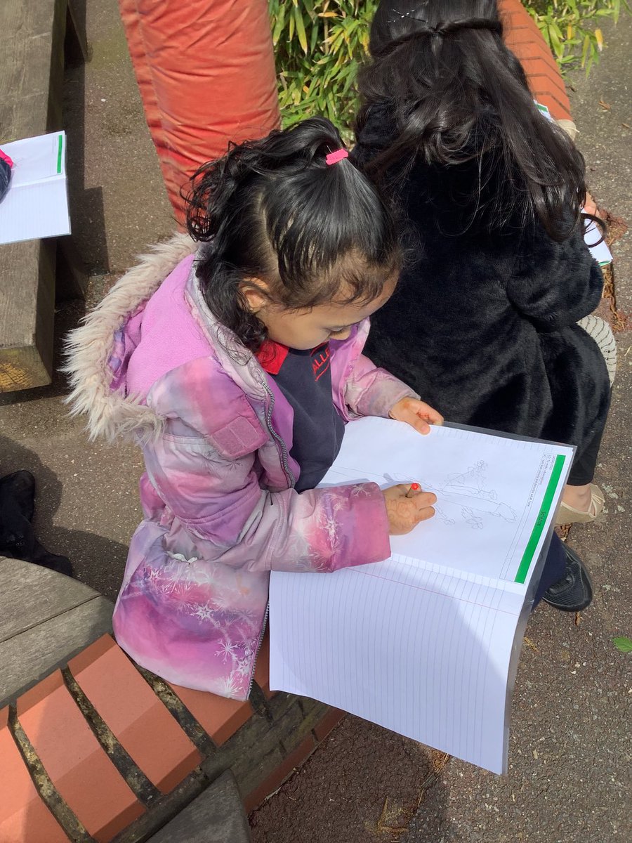 Halley Year 1 tweet media