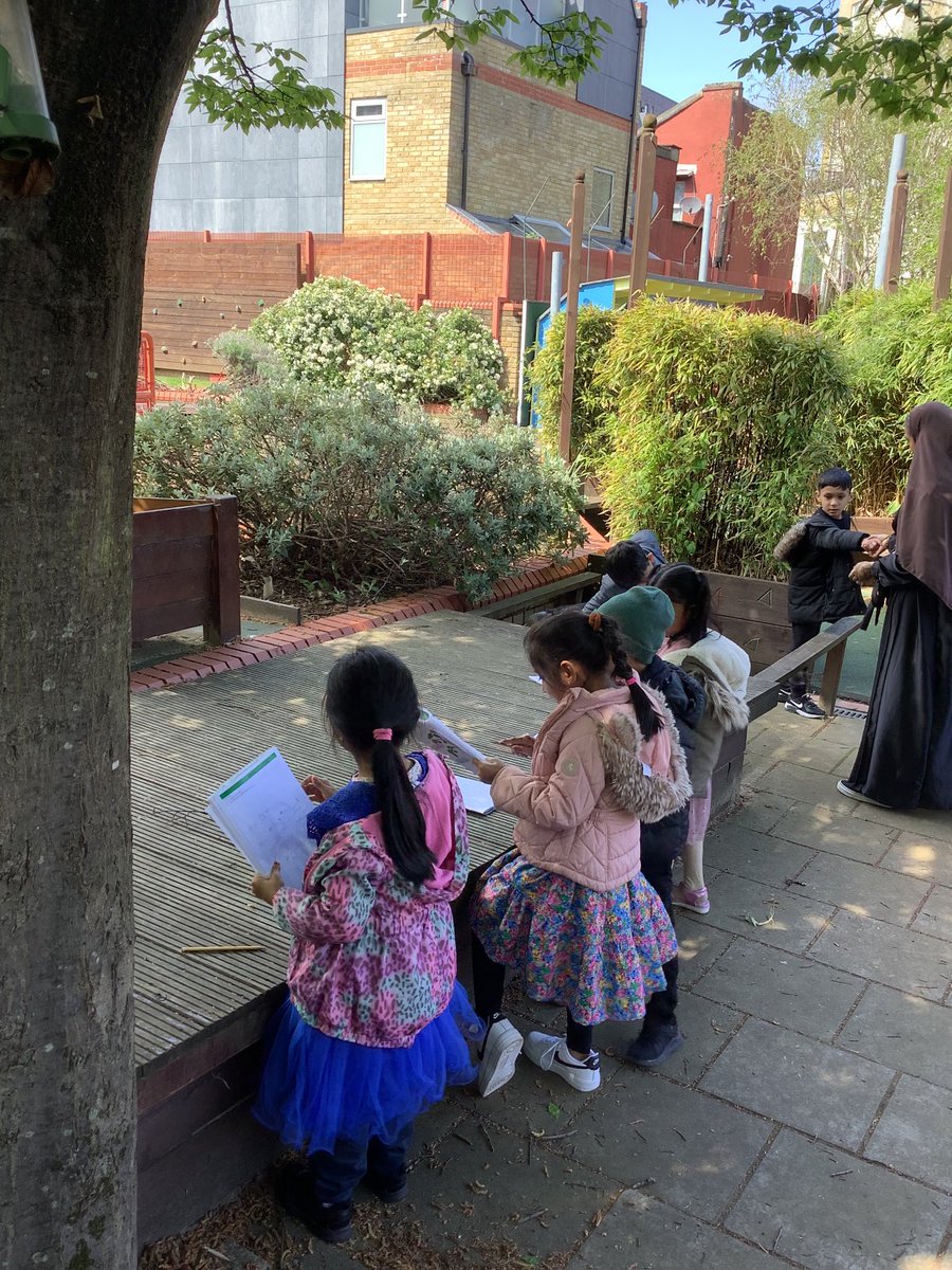 Halley Year 1 tweet media