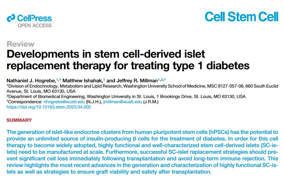 Jeffrey Millman (@jeffreyrmillman) on Twitter photo Latest from us: <a href="/CellStemCell/">Cell Stem Cell</a> #OpenAccess review highlighting recent advances in the generation and characterization of highly functional islets from stem cells for #diabetes as well as strategies to ensure graft viability & safety after transplantation 🧵sciencedirect.com/science/articl… Latest from us: <a href="/CellStemCell/">Cell Stem Cell</a> #OpenAccess review highlighting recent advances in the generation and characterization of highly functional islets from stem cells for #diabetes as well as strategies to ensure graft viability & safety after transplantation 🧵sciencedirect.com/science/articl…
