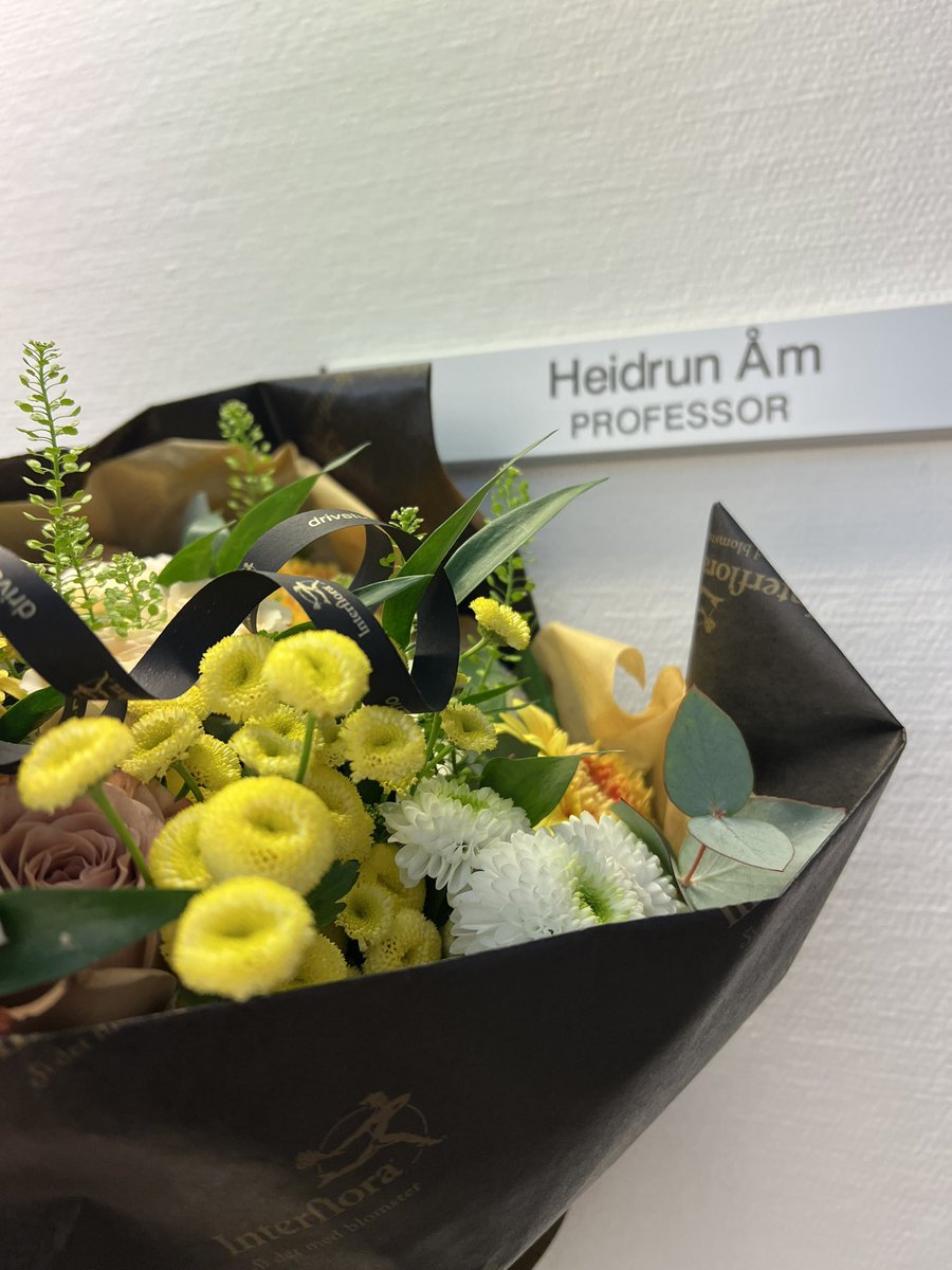 Heidrun Åm @heidrunam@mastodon.social tweet media