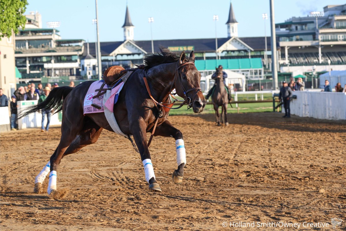 owneycreative's tweet photo. Turning for home 🏇🏽

And Tell Me Nolies got loose this morning, dropping her rider and sprinting back to her barn. Peter Miller says the #KyOaks filly is okay. https://t.co/TQu2wz5Cwf