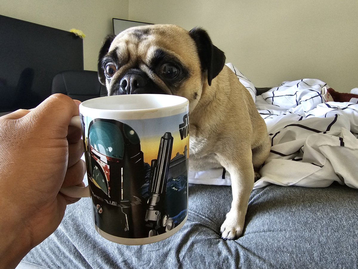 TrashBandicootx's tweet photo. I guess #MayThe4thBeWithYou https://t.co/2do7o4X5qM
