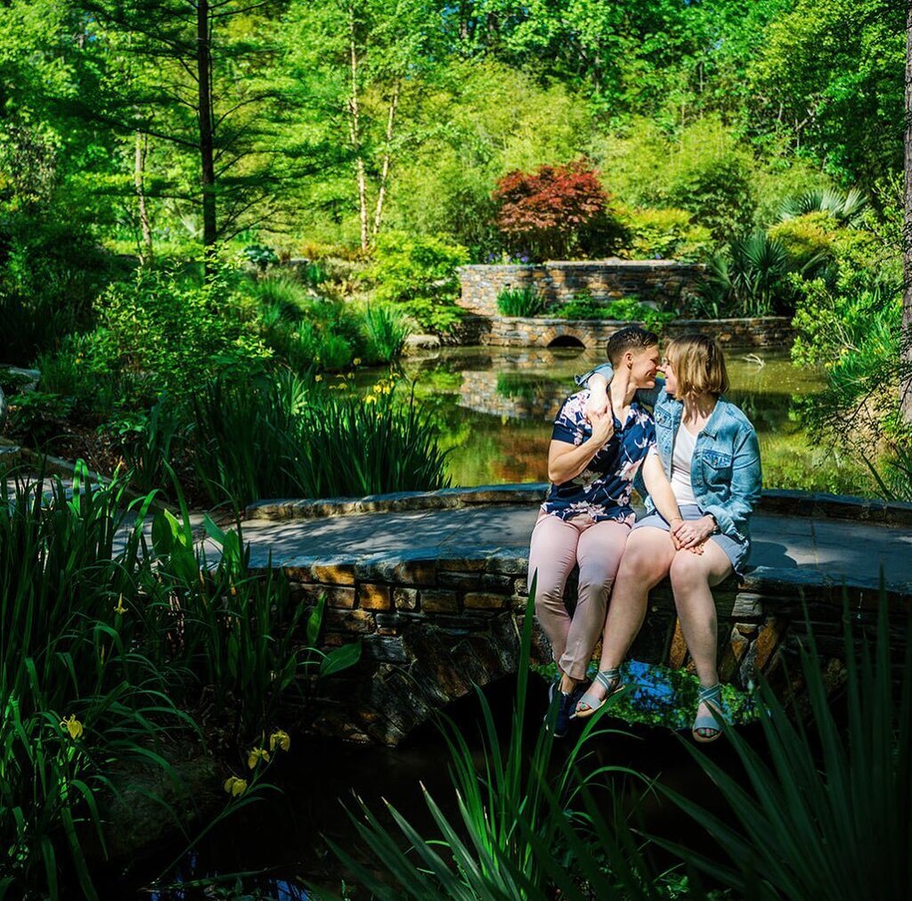 Cynthia Viola tweet media