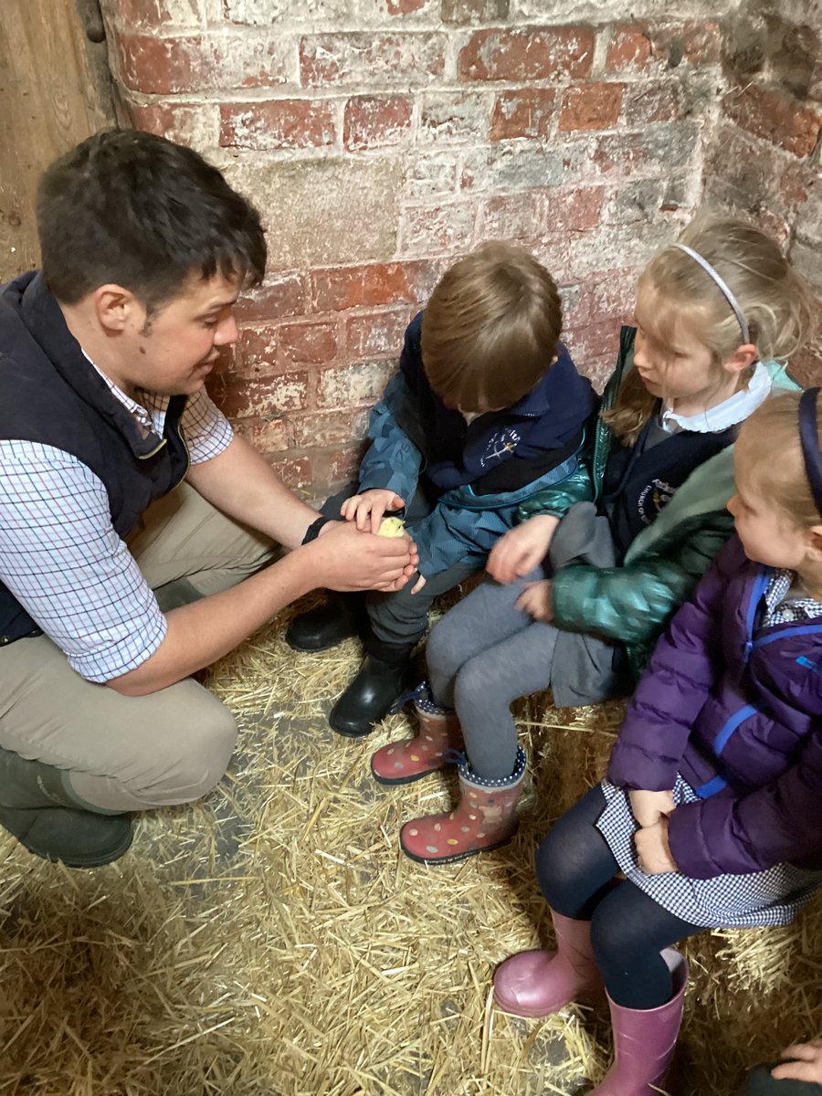 Missdavidson56's tweet image. Our topic this term is ‘On the Farm’ and what better way to learn about farms is there than on a farm visit? Thank you so much @GrasslandsFarm for having us, we had a brilliant time! (We even got to ride on a real-life tractor) 🚜🐄🐣🐓 @Tockwithcofe