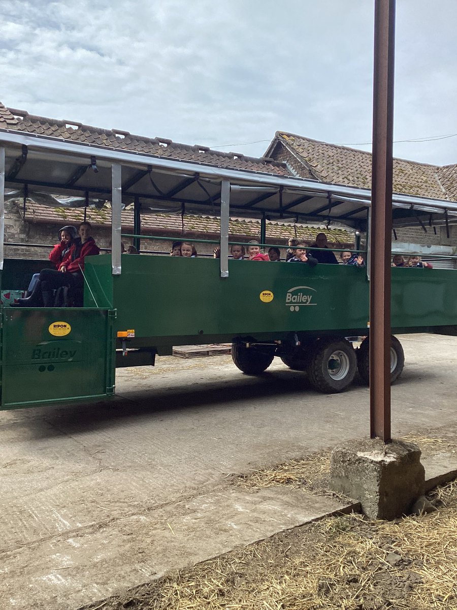 Missdavidson56's tweet image. Our topic this term is ‘On the Farm’ and what better way to learn about farms is there than on a farm visit? Thank you so much @GrasslandsFarm for having us, we had a brilliant time! (We even got to ride on a real-life tractor) 🚜🐄🐣🐓 @Tockwithcofe