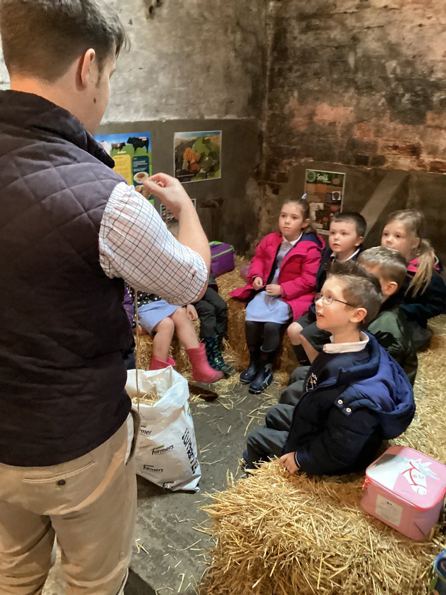 Missdavidson56's tweet image. Our topic this term is ‘On the Farm’ and what better way to learn about farms is there than on a farm visit? Thank you so much @GrasslandsFarm for having us, we had a brilliant time! (We even got to ride on a real-life tractor) 🚜🐄🐣🐓 @Tockwithcofe