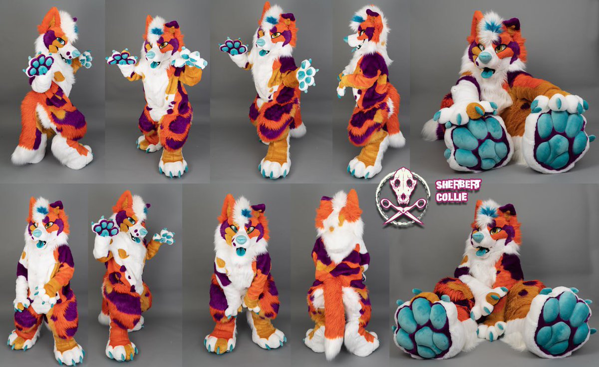 Sherbert! 🍨 tweet media