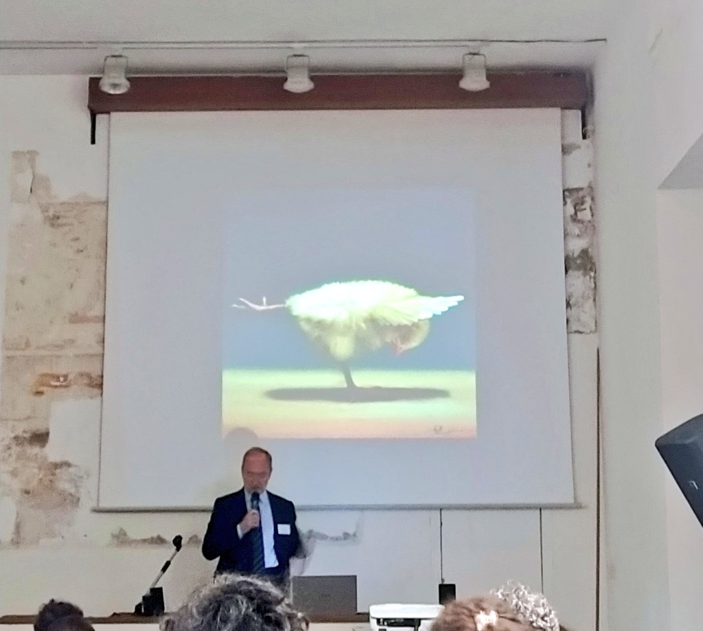 Chiara Scopa tweet media