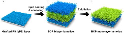 DNA_Nanotech's tweet photo. pH-Mediated Size-Selective Adsorption of Gold Nanoparticles on Diblock Copolymer Brushes https://t.co/sQME39JFRl https://t.co/3sc7iNv3Bm