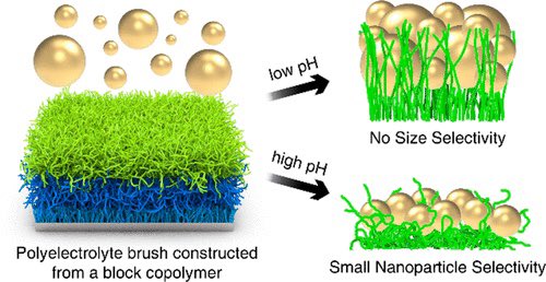 DNA_Nanotech's tweet photo. pH-Mediated Size-Selective Adsorption of Gold Nanoparticles on Diblock Copolymer Brushes https://t.co/sQME39JFRl https://t.co/3sc7iNv3Bm