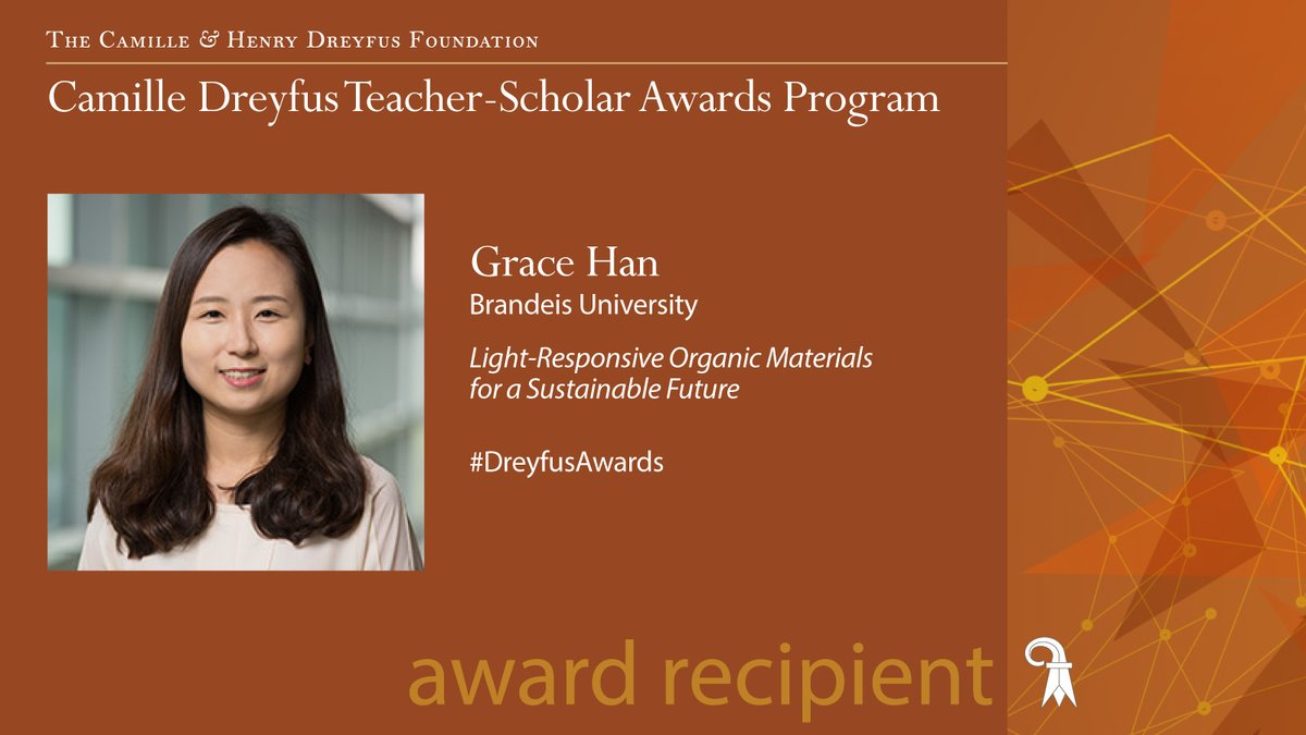 The Camille and Henry Dreyfus Foundation tweet media