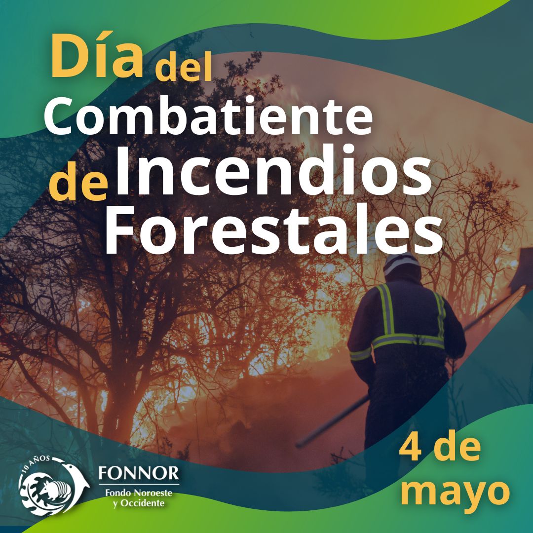 🌿🦔🐬#FONNOR se une al reconocimiento de las mujeres y hombres que cada año arriesgan su vida combatiendo los inciendios forestales.

💪¡Gracias por su heroica labor!
