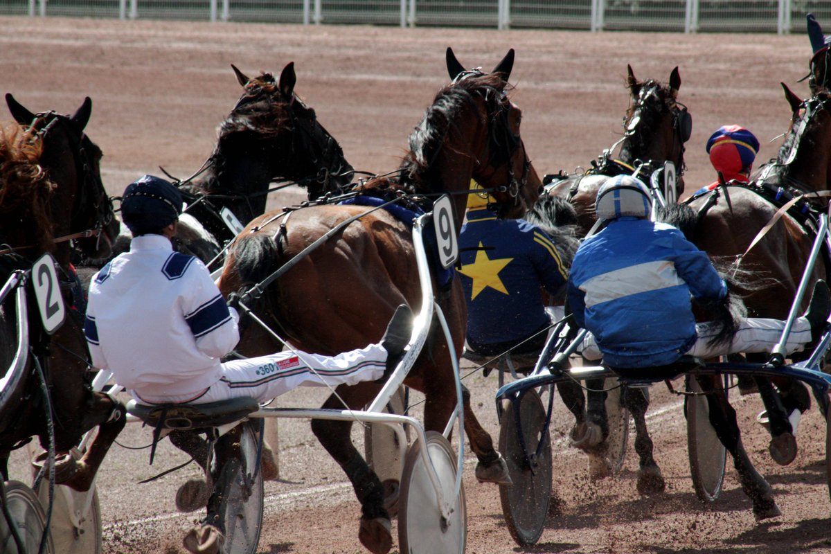 Réunion du 04 mai 

🏆1ère Course : PRIX HIGH ECHELON
🥇N°9 Jackson Haufor - David Thomain - 1'16"00 
🥈N°16 Jogger Kily - Antoine Wiels - 1'16"10
🥉N°14 Jerzino Vici - Alexis Collette - 1'16"10