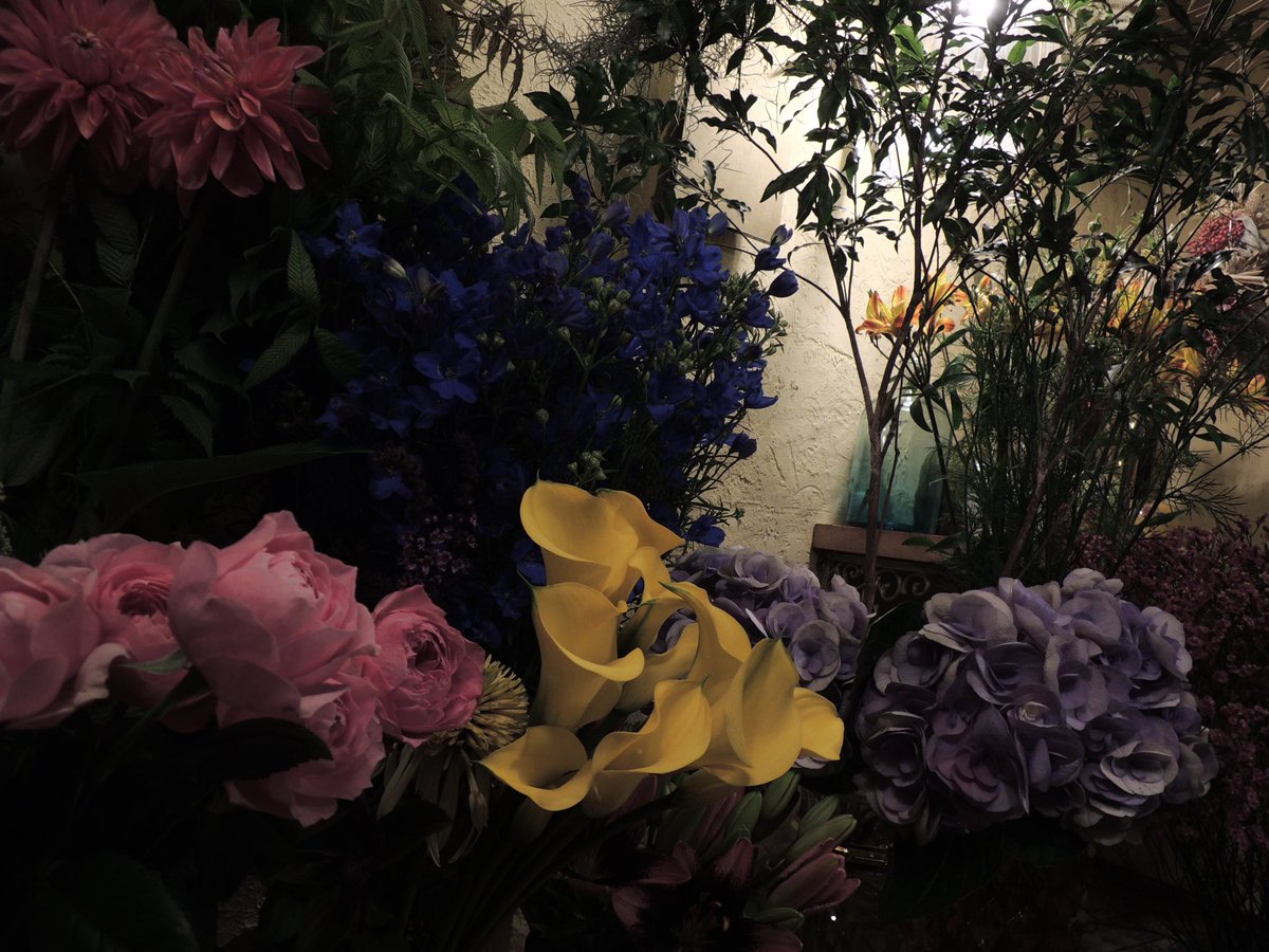 fNZZgQudhOGdrUO's tweet photo. 小学校の同級生が経営してる花屋
「FLOWER FROG」@西千葉 💐
珍しい品種の花が盛りだくさん
#オールドコンデジ
#オールドデジカメ
#Flowerfrog https://t.co/cL67x8H3Qj
