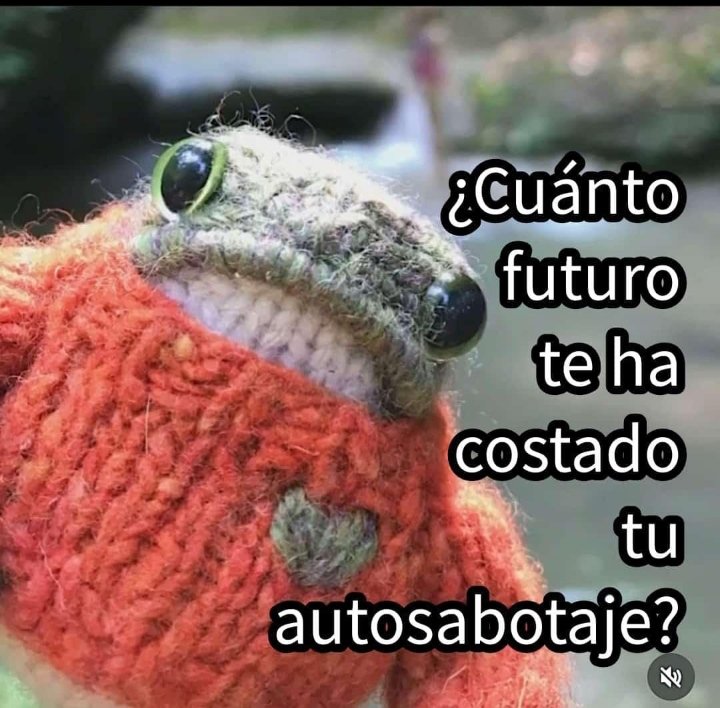 Memes Universidad Nacional (@nacional_memes) on Twitter photo 